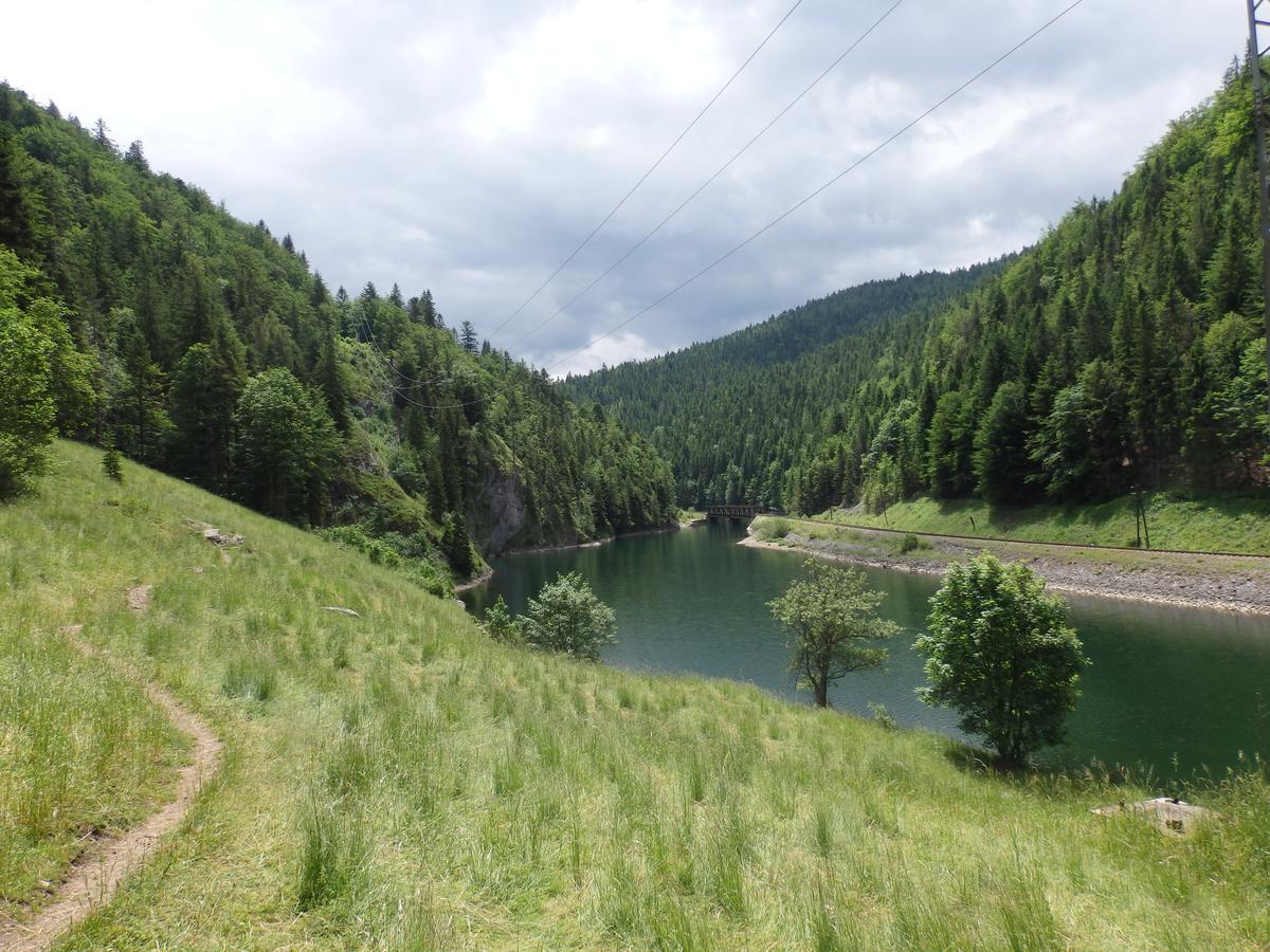 Penzion Borovica Stratena Exterior photo